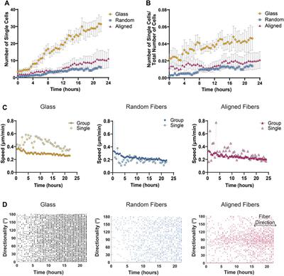 An adaptive and versatile method to quantitate and characterize collective cell migration behaviors on complex surfaces